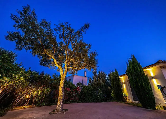 Les Arbousiers - Piscine Chauffee Securisee - 210m2 - 4 * 维琪奥港